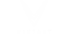logos-divtag-vinfast-1